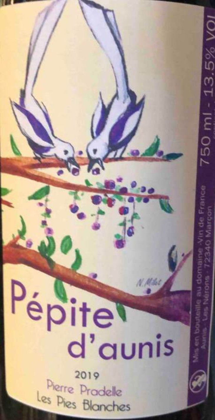 Pépite D’Aunis - Domaine des Pies Blanches - pierre-pradelle 