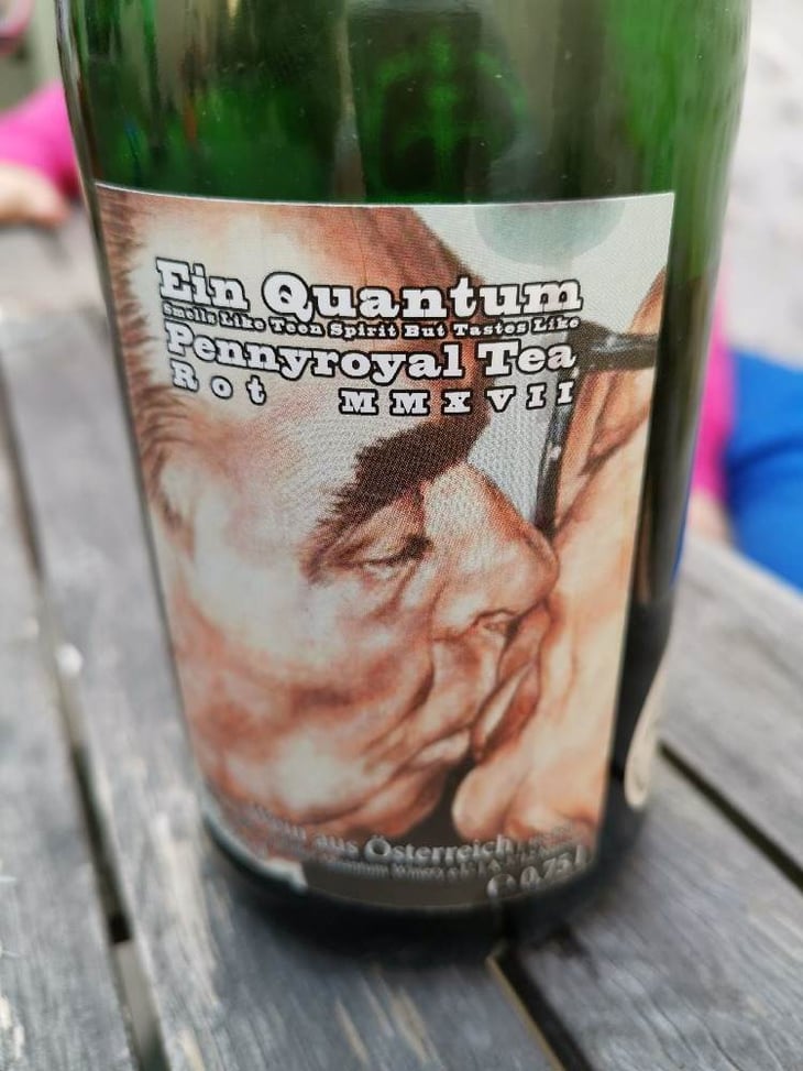 Smells like Teen Spirit but tastes like Penny royal tea Red - Quantum Winery - florian-schuhmann-irschik-sq 