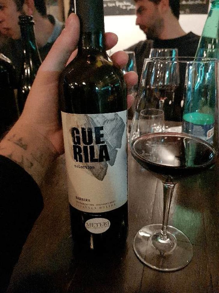 Guerrilla - Organic farm Mlečnik - mlecnik-valter-and-klemen 