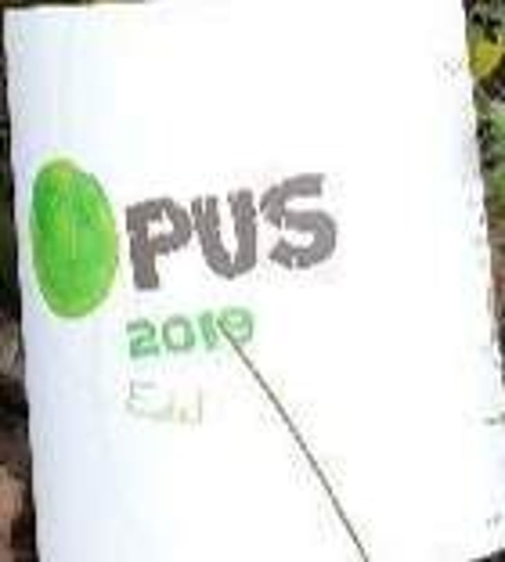 Opus - Domaine Gross - remy-vincent-gross 