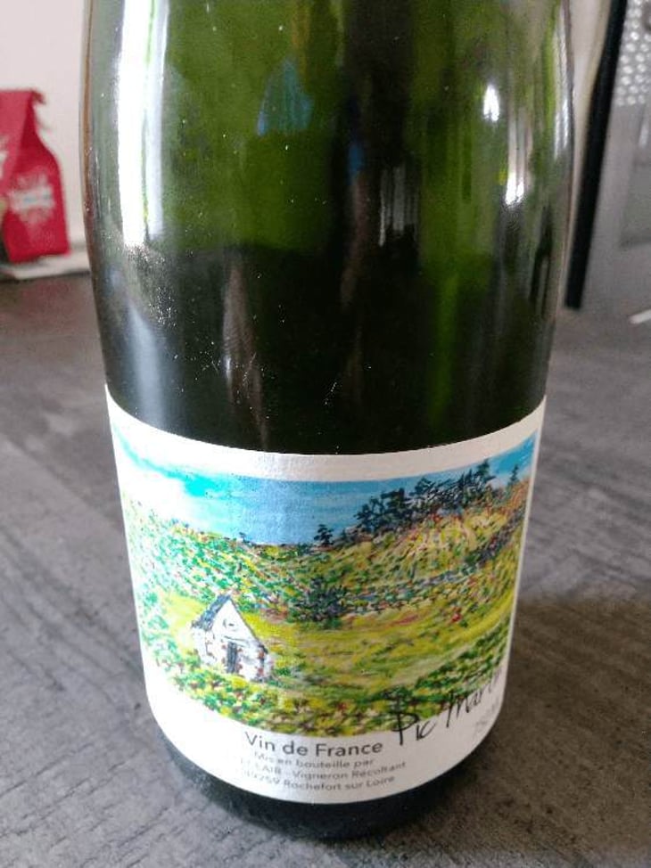 Pic Martin - T.Beclair - gildas-thierry-beclair 