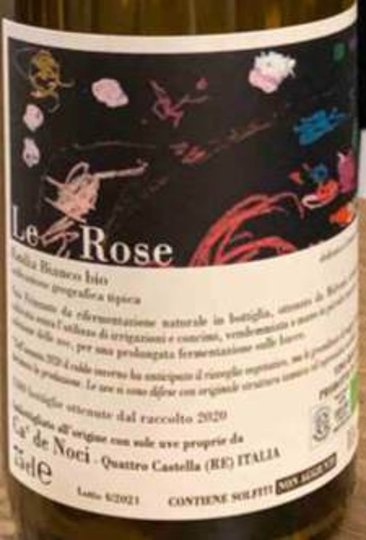 Le Rose - Ca De Noci - alberto-giovanni-masini 