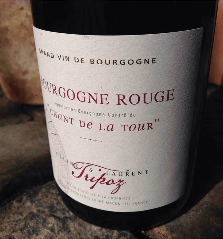 Chant de la Tour - Domaine Tripoz - celine-laurent-tripoz 