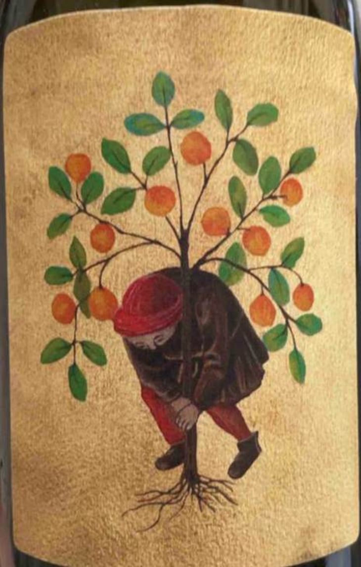 L’Oranger De Pierre - Fanny Sabre - fanny-sabre 