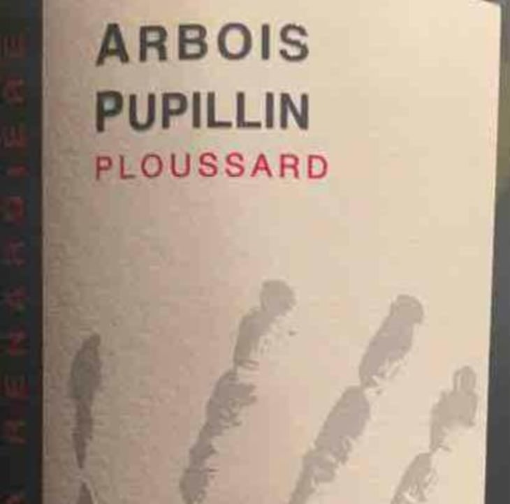 Ploussard - Domaine de la Renardière - jean-michel-laurence-et-leo-petit 