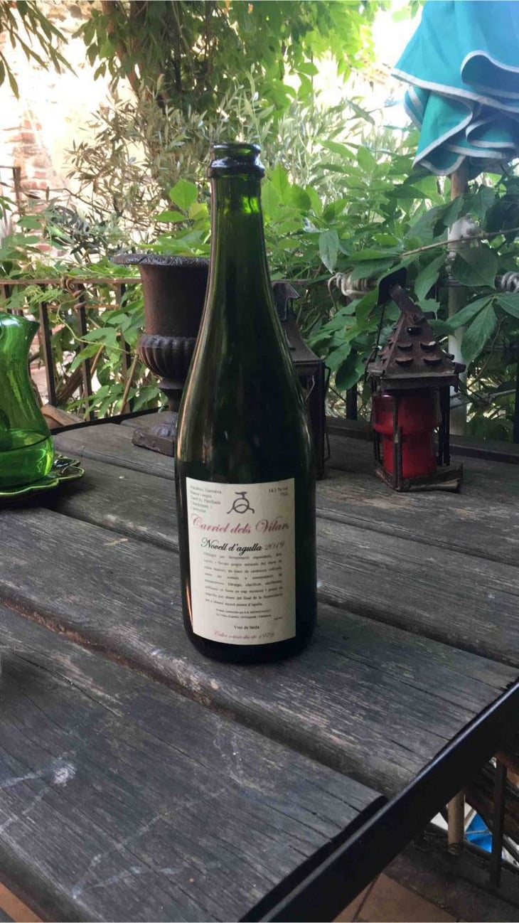 Novell D’agulla 2019 - El Carriel dels Vilars - carles-alonso 