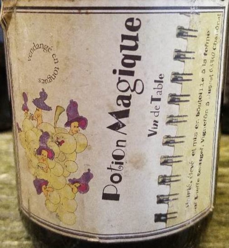 Potion Magique - Pierre Beauger - pierre-beauger 