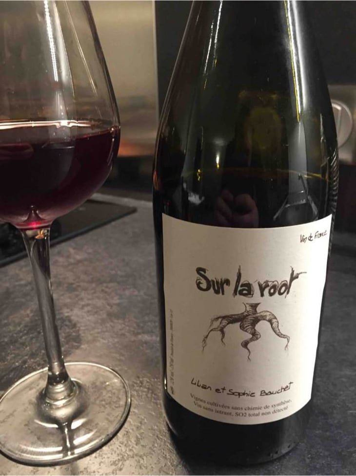 Sur La Root - Lilian & Sophie Bauchet - lilian-sophie-bauchet 
