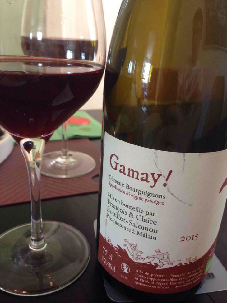 Gamay! - Bouillot-Salomon - francois-claire-bouillot-salomon 