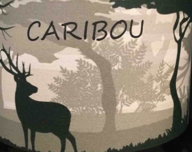 Caribou - Marc Sanchez Toha - Le Chant des Cigales - marc-sanchez-toha-clemence-baudoin 