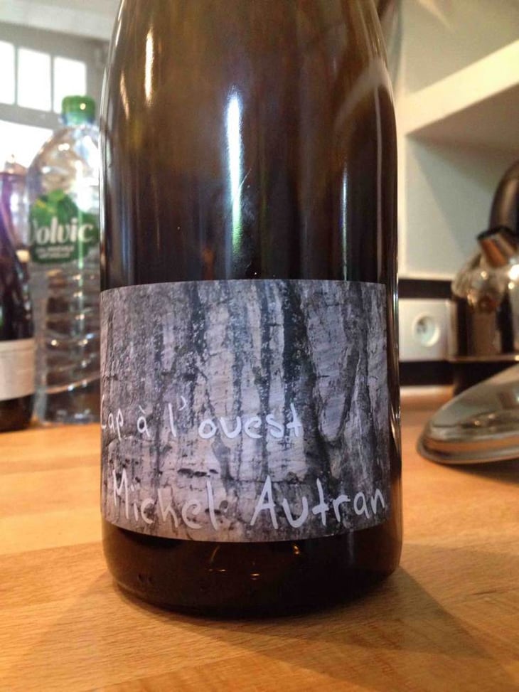 Cap à l'Ouest - Michel Autran - michel-autran 