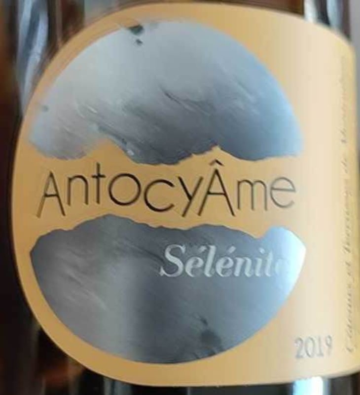 Sélénite - AntocyÂme - muriel-zoldan 