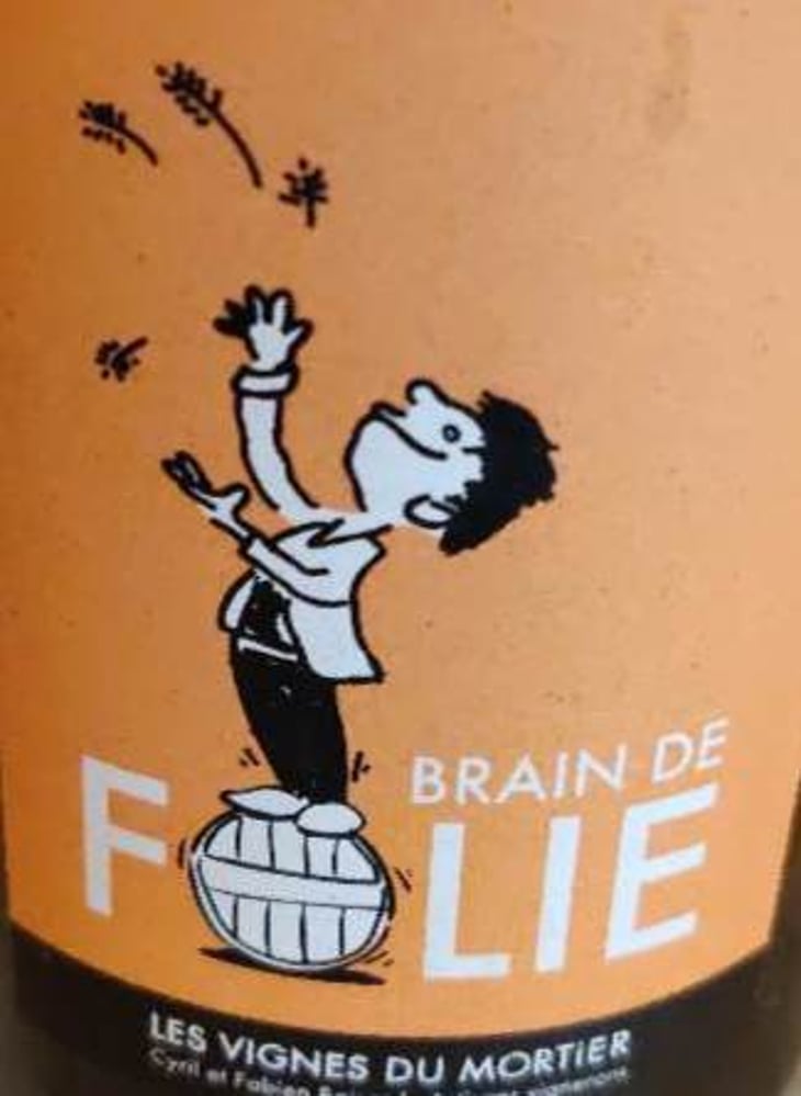Brain de Folie Chenin - Domaine du Mortier - fabien-cyril-boisard 