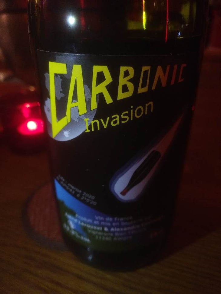 Carbonic Invasion - Domaine Thuronis - Vigneron Bien Fêteur - alexandre-coulange-astrid-lerouxel 