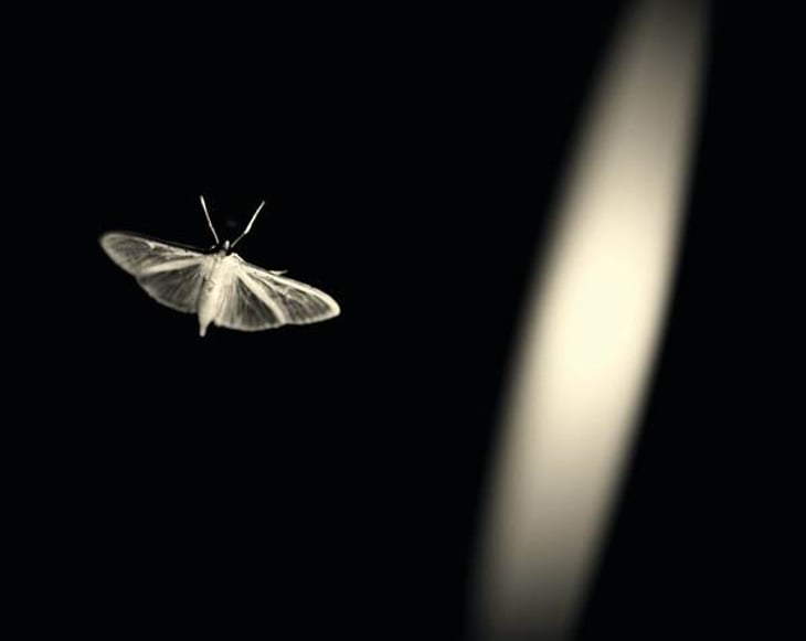 4Kilos (2018 Label) - Cuatro Kilos Vinicola - 4-kilos-vinicola 