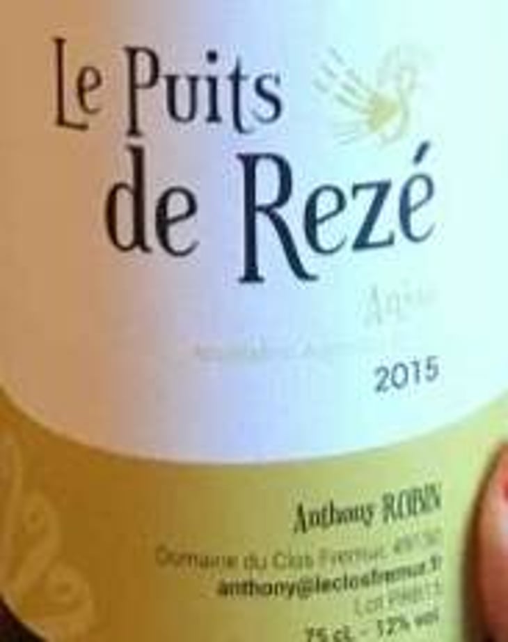 Le Puits de Rezé (Blanc) - Domaine du Clos Fremur - anthony-robin 