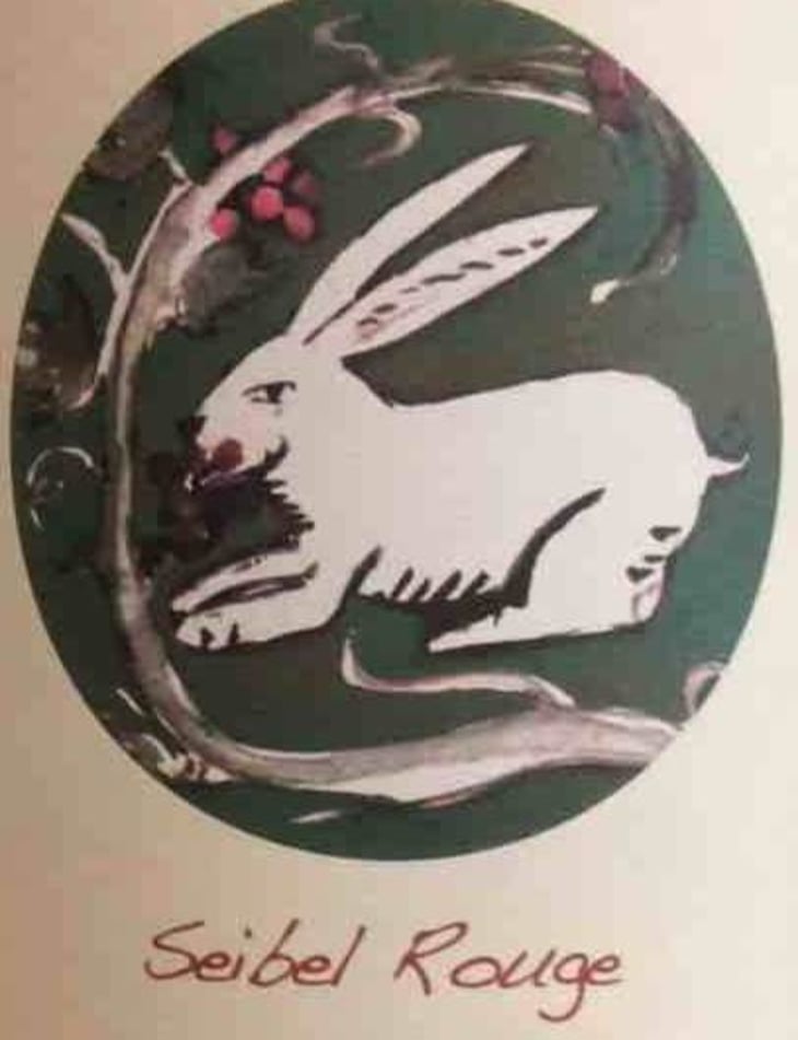 Seibel Rouge - Vin & Pic - laurent-christine-demeure-pierre-rolle 