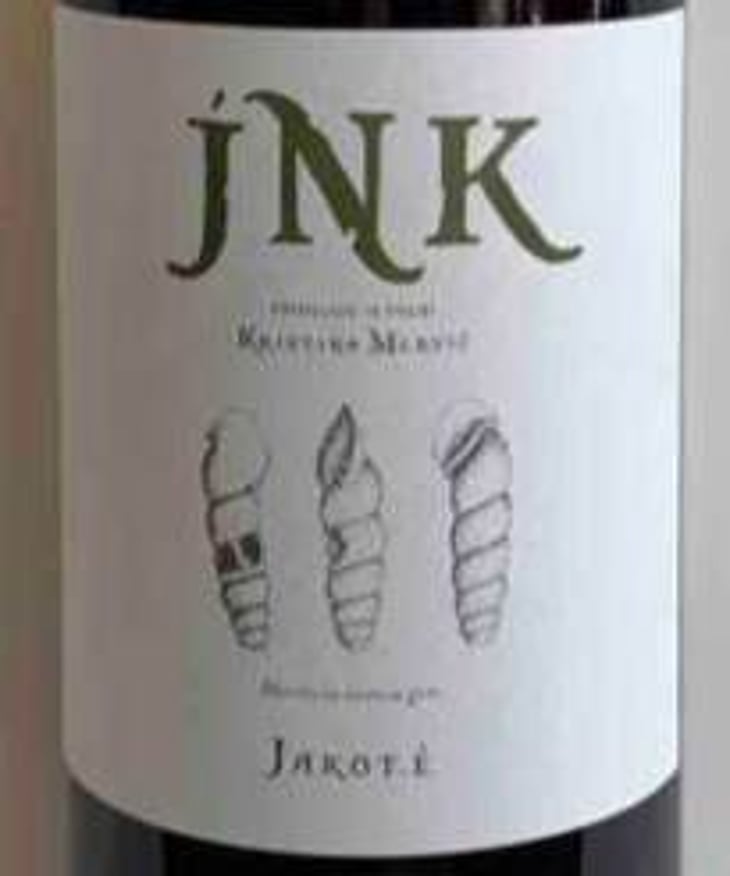 Jakot.E - JNK - kristina-boleslav-mervic 