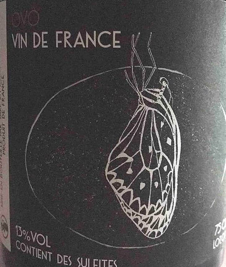 OVO - Maison en Belles Lies - pierre-fenals 