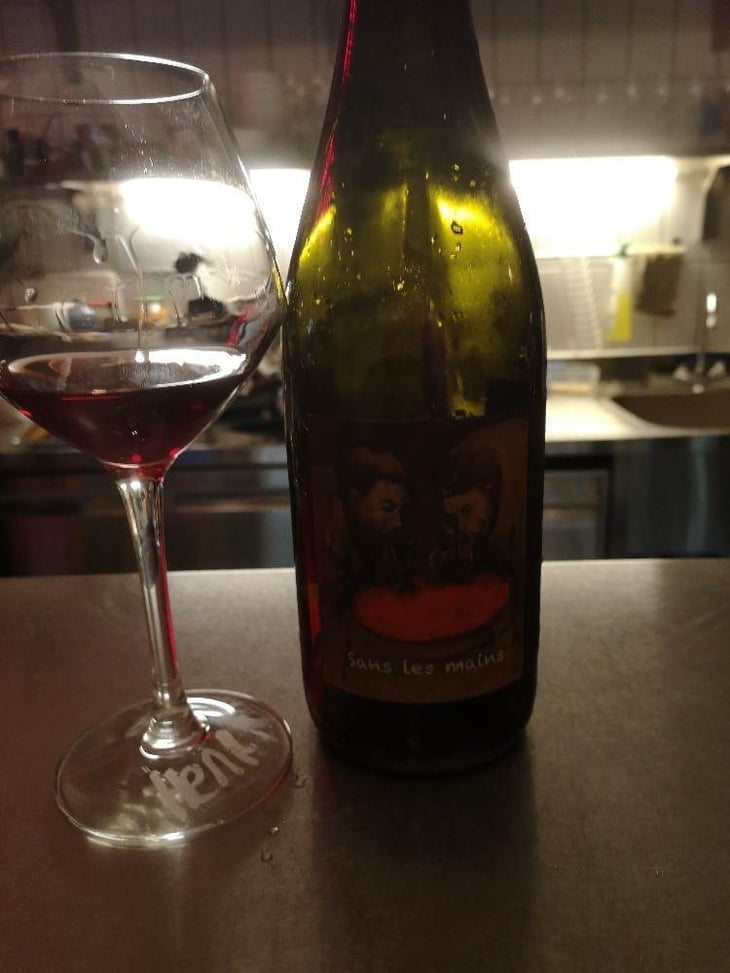 Sans Les Mains - Domaine Frédéric Mabileau - remy-mabileau 