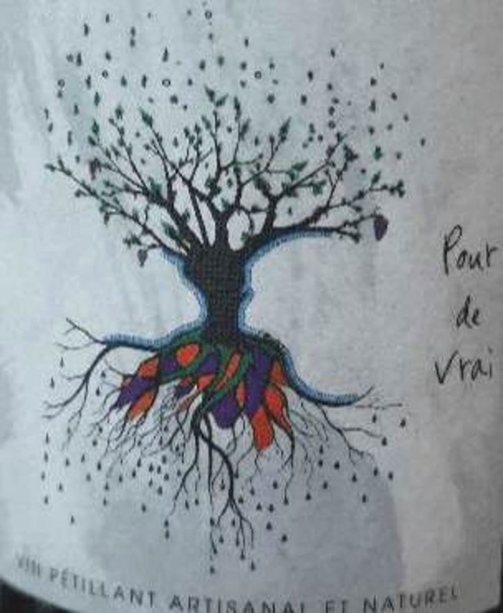 Pour De Vrai - Chateau Puech redon - cyril-cuche 