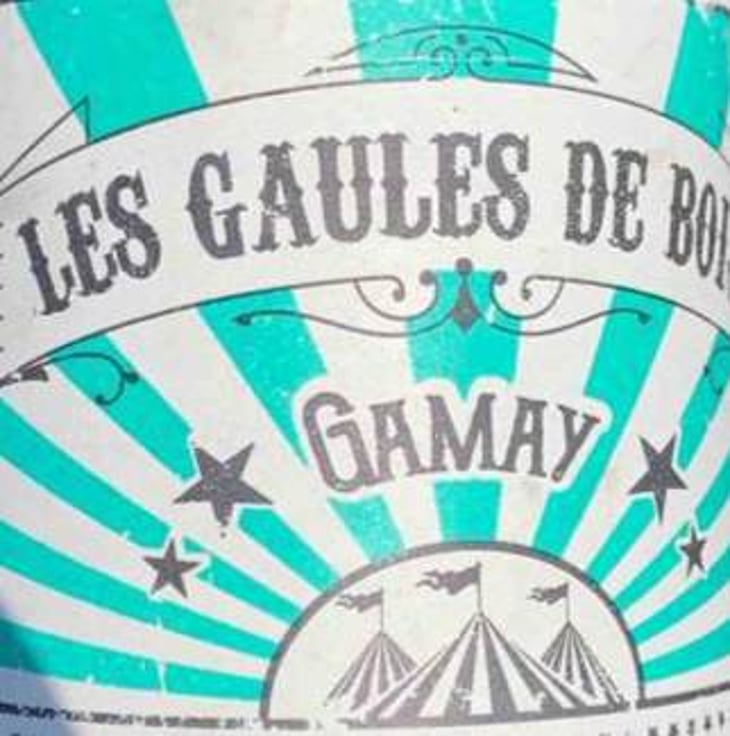 Acte I - Les Gaules De Bois - romuald-cousy-vincent-alexis 