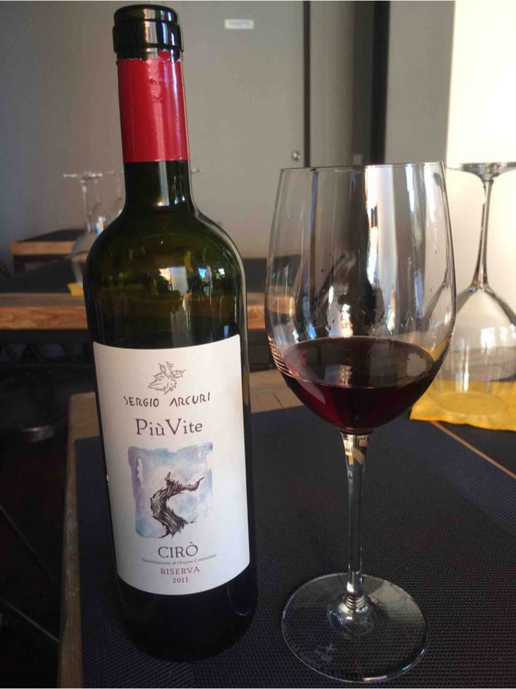 Più Vite - Sergio Arcuri - sergio-arcuri 