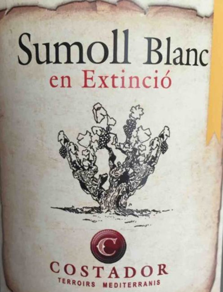 Sumoll Blanc en Extinció - Costador Terroirs Mediterranis - joan-franquet 