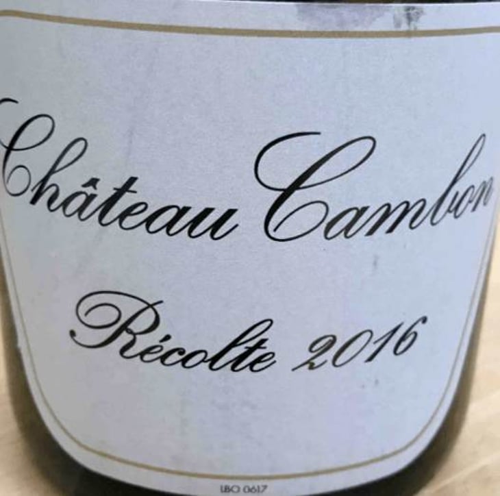 Château Cambon - Château Cambon - alexandre-iwasuila-marie-lapierre-jean-claude-chanudet 