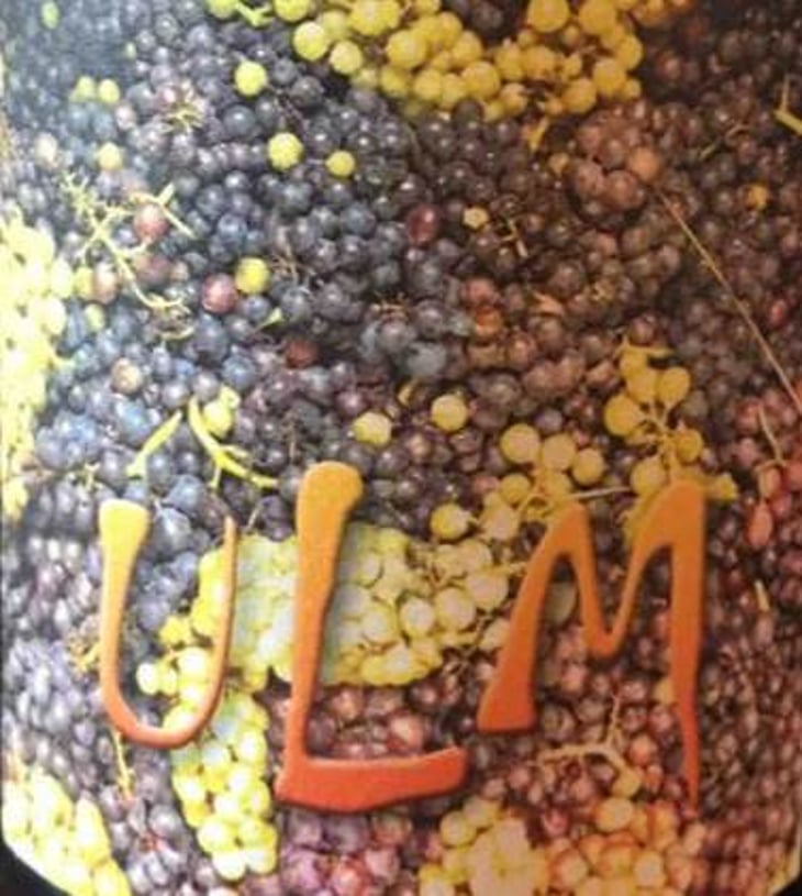 Ulm - Domaine de l'Octavin - alice-bouvot 