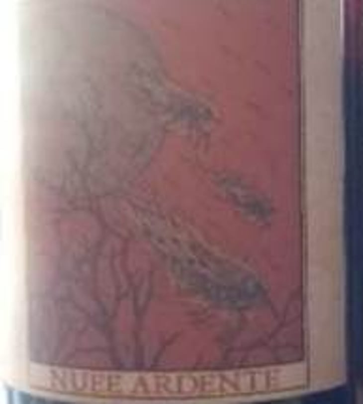 Nuée Ardente - Lapis Vinolenti - jeremy-gusella 