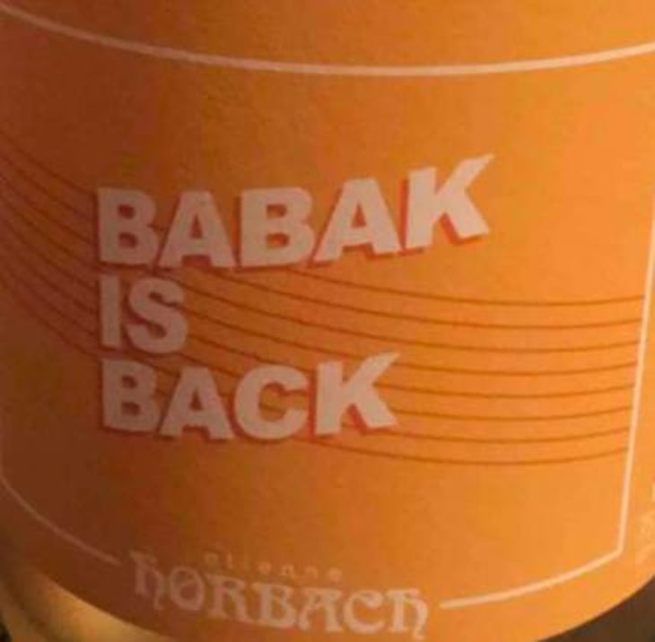 Babak is back - Étienne Horbach - etienne-horbach 