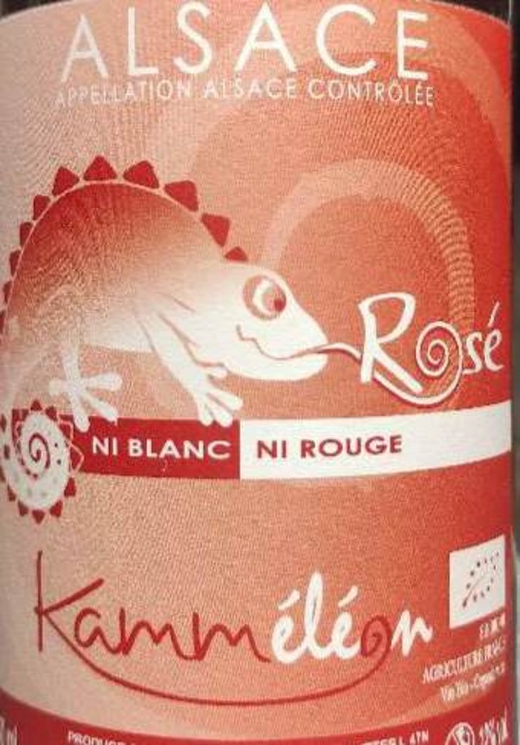 Kammeleon - Jean-Louis & Éric Kamm - eric-kamm 