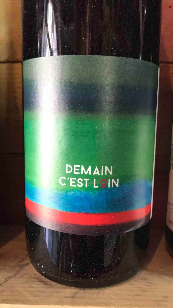 Demain C’est Loin - Domaine de l'Astré - aude-duval-et-sylvain-ohayon -2021