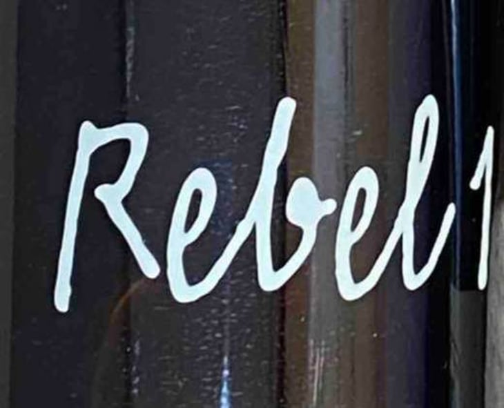 Rebel 1 - Domaine Lous Grèzes - luc-trees-lybaert 