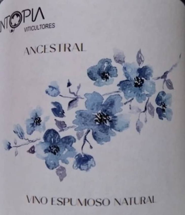 Ancestral - Vintopia - clemente-enrique-ortiz-martinez 