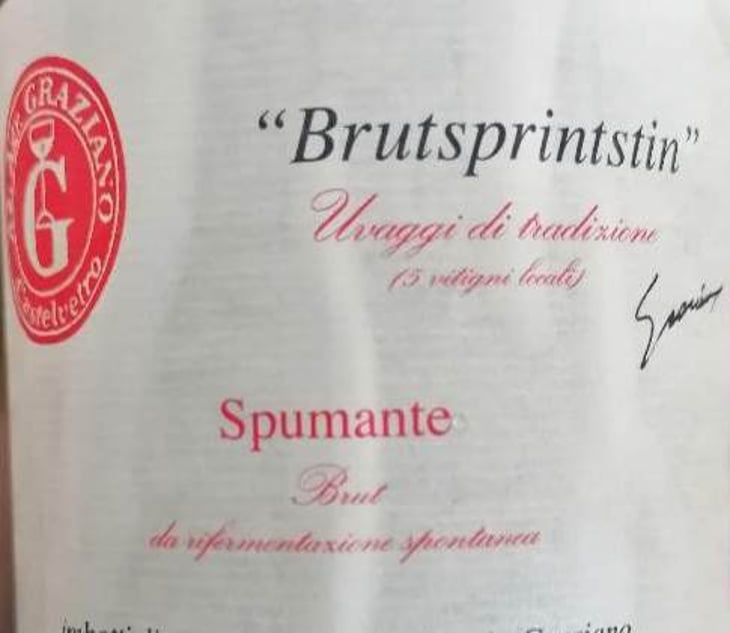 Brutsprintstin - Fontana dei Boschi - vittorio-graziano 