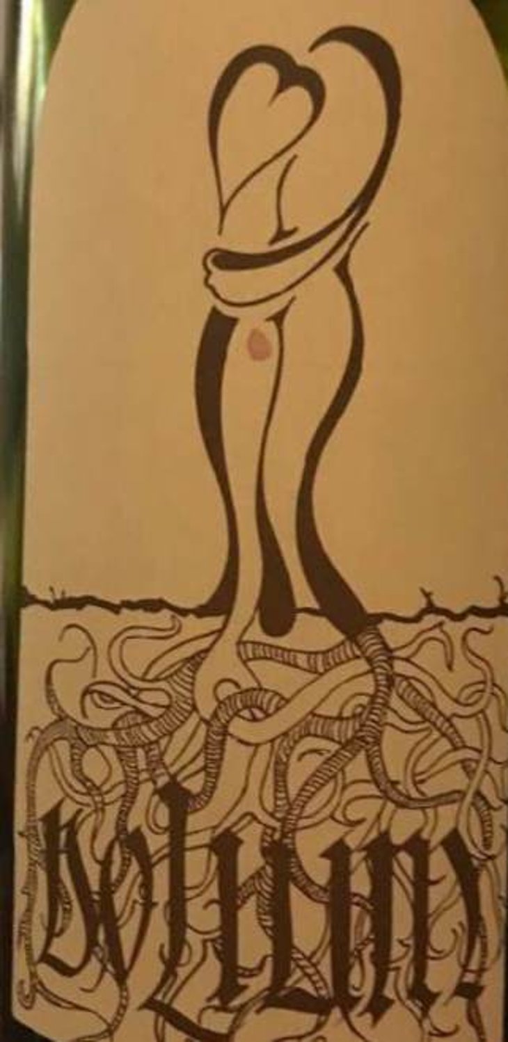 Dolium - Vinarstvo Zorjan - marija-bozidar-zorjan 