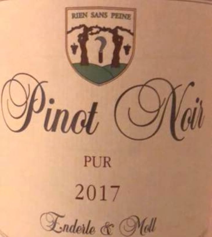 Pinot Noir Pur - Enderle & Moll - florian-moll-max-lecat 