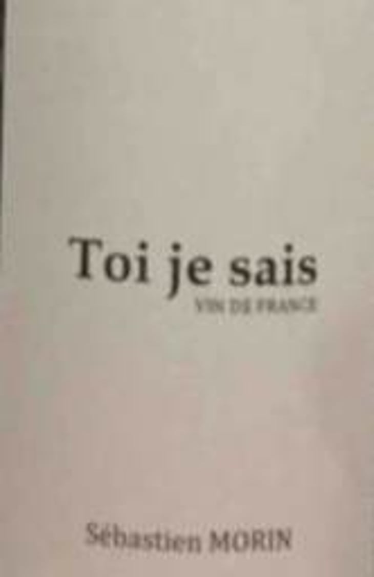 Toi Je Sais - Maï Lam et Sébastien Morin - mai-lam-et-sebastien-morin -2021