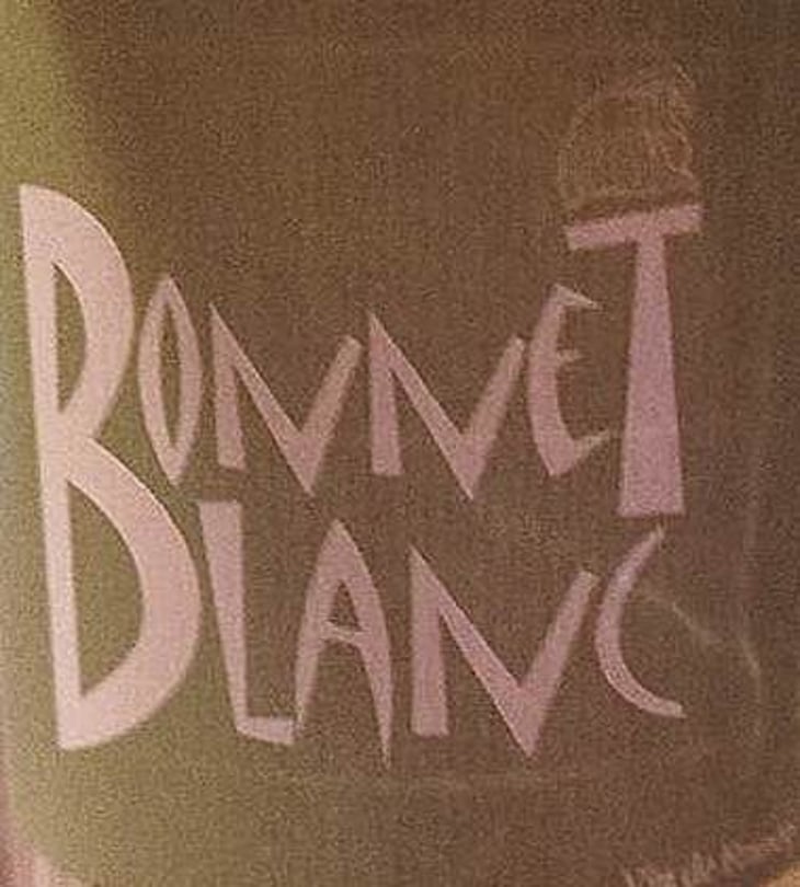 Bonnet Blanc - SAS Bascule! + Ex Domaine Leonine - caroline-stephane-morin 