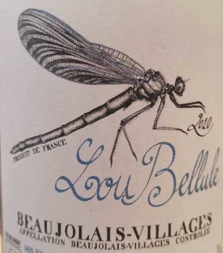 Lou Bellule - Lou. Y Es-Tu? - mathilde-stephen-durieu 