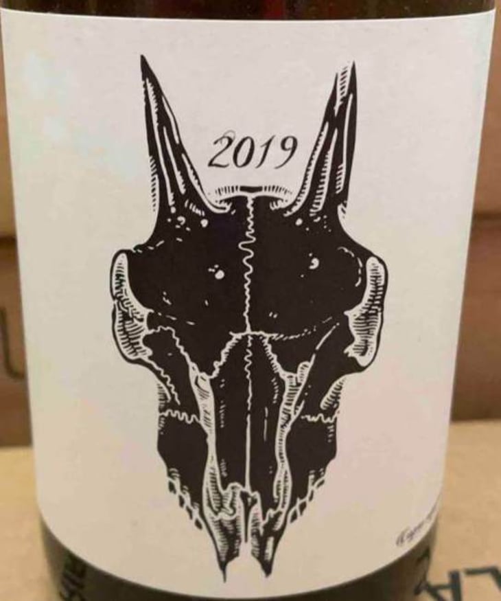 Trebbiano D’Abruzzo - Podere San Biagio - jacopo-fiore -2019