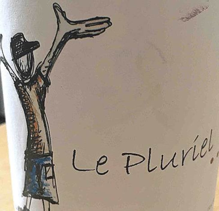 Le Pluriel Rouge - Clos Des Boutes - sylvain-boutee 