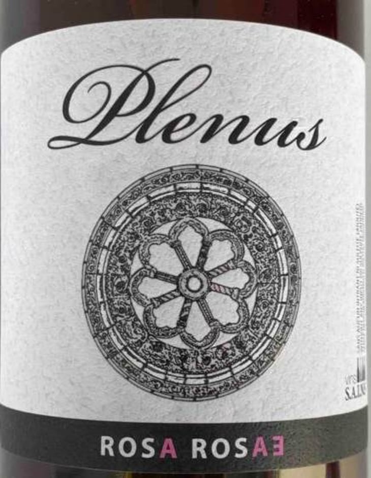 Plenus Rosa Rosae - Azienda Agricola Marina Palusci - massimiliano-daddario -2016