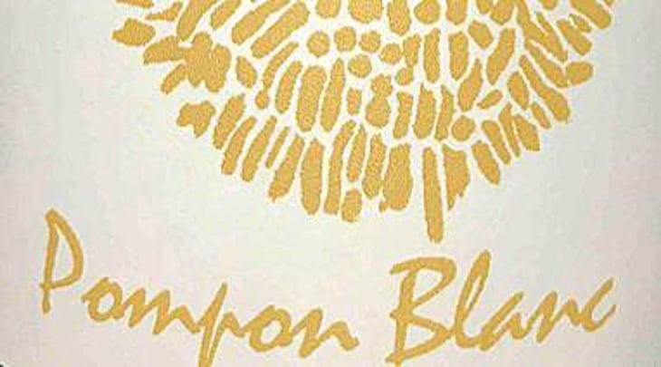 Pompon Blanc - Mas de la Font Ronde - vincent-moulin 