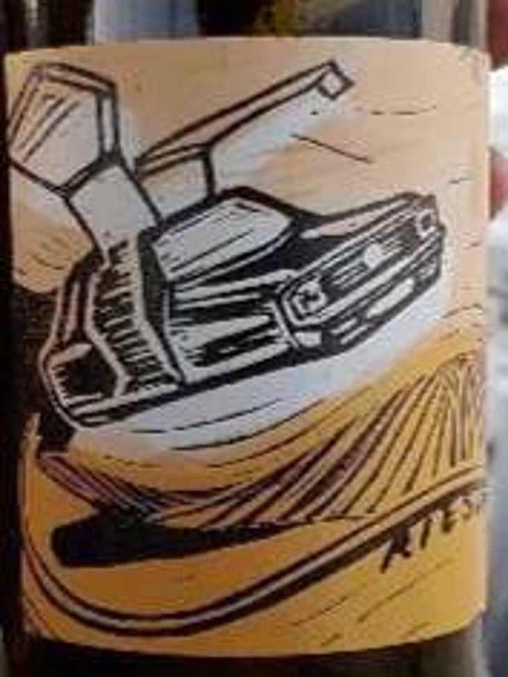 Riesling Free - Dry - Brand Bros - Weingut Brand - daniel-jonas-brand 