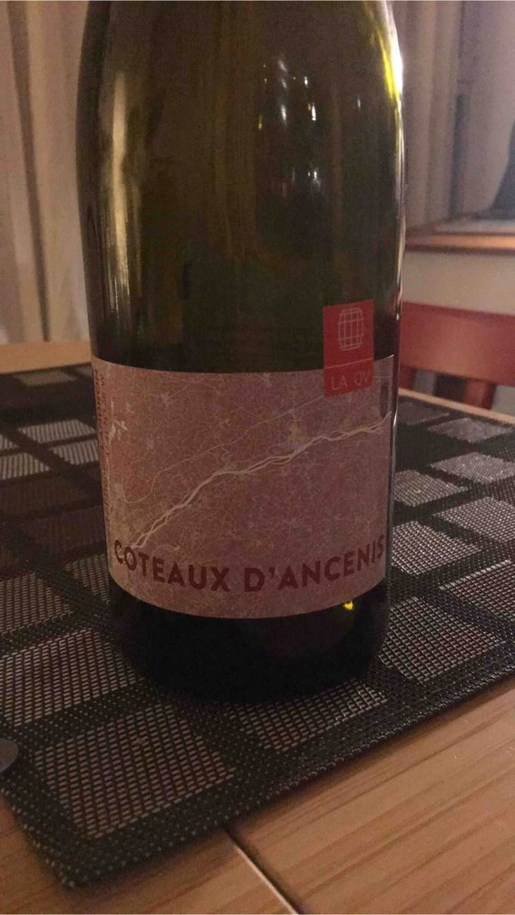 Coteaux D’ancenis - Domaine Landron-Chartier - bernard-francoise-benoit-landron 