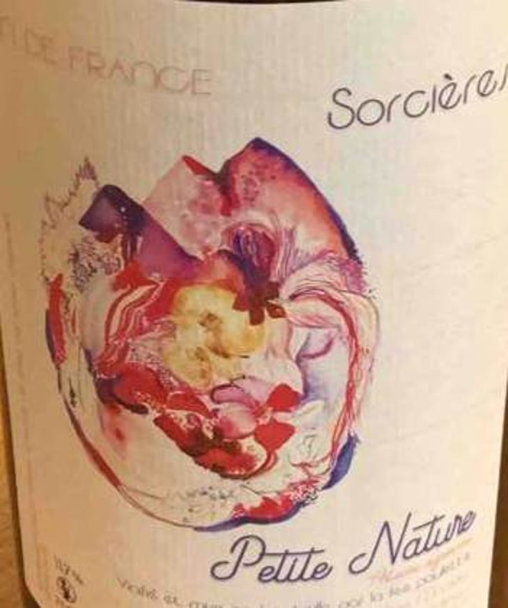 Sorcières - Petite Nature - pauline-maziou -2021