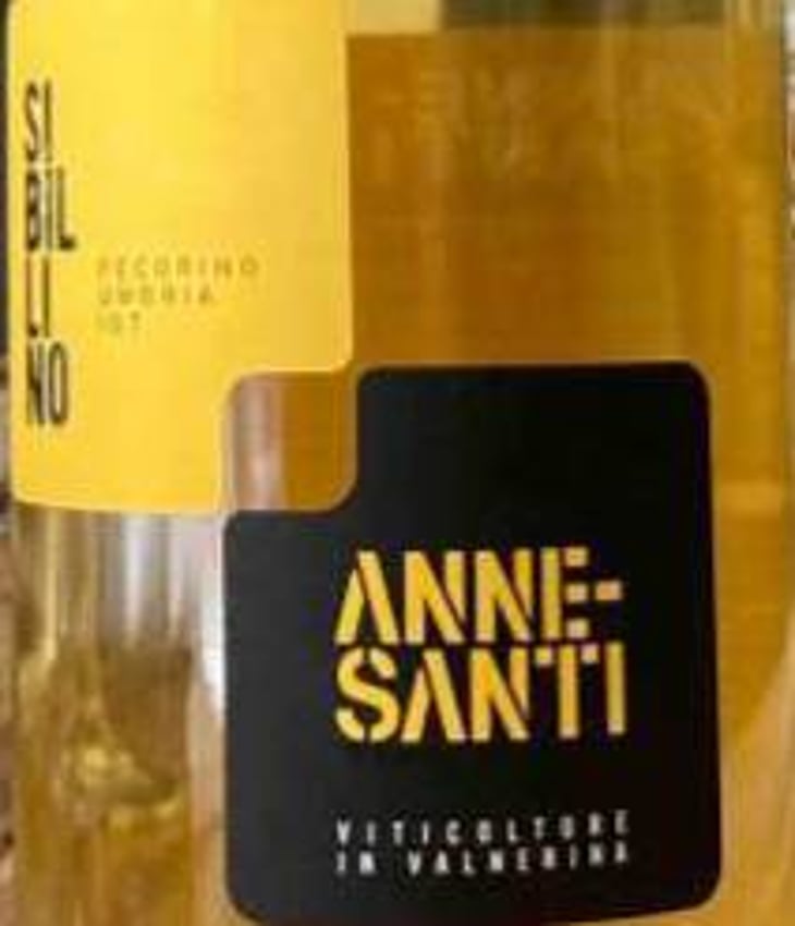 Sibillino - Società Agricola Annesanti - francesco-annesanti 